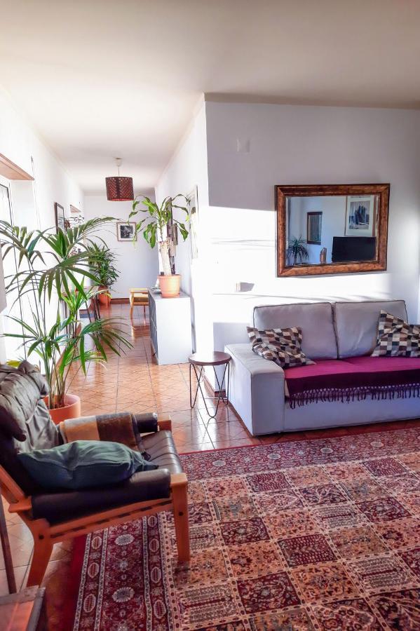 Penthouse Apartment, City Center カルダス・ダ・ライーニャ エクステリア 写真